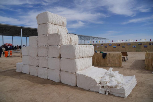 Фестиваль «AQ-DALA» объединил фермеров, переработчиков и аграриев Казахстана