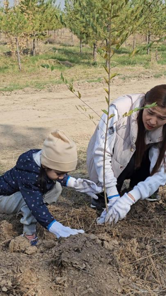 В Алматы школьники высадили три тысячи карагачей в парке «Сосновый бор»