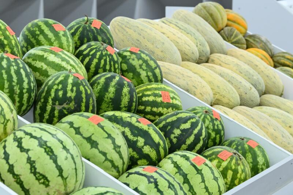 Коммунальный рынок «Syr darya» открылся в Кызылорде Коммунальный рынок «Syr darya» открылся в Кызылорде