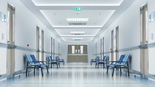 Жительница Шымкента умерла спустя 33 дня после родов: родные винят врачей