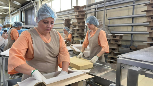 Костанайская область — центр инноваций АПК