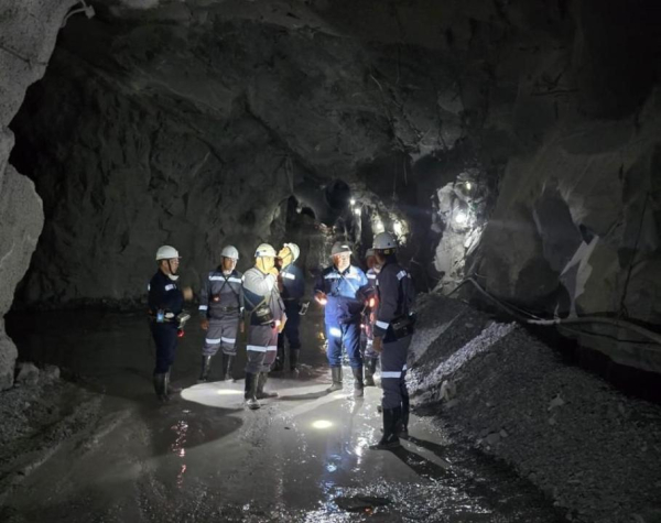 МЧС внедряет цифровые системы мониторинга промышленной безопасности