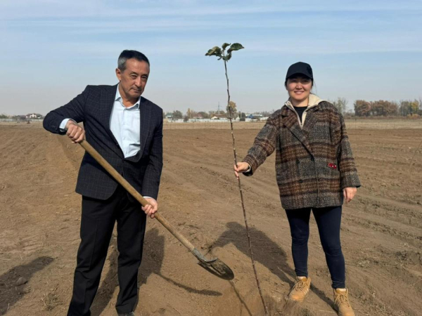 В Алматы началась реализация проекта по восстановлению сорта яблони Апорт В Алматы началась реализация проекта по восстановлению сорта яблони Апорт