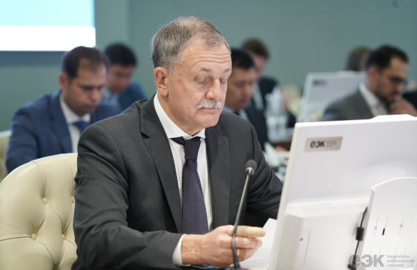 ЕАЭС: применение навигационных пломб для отслеживания перевозок