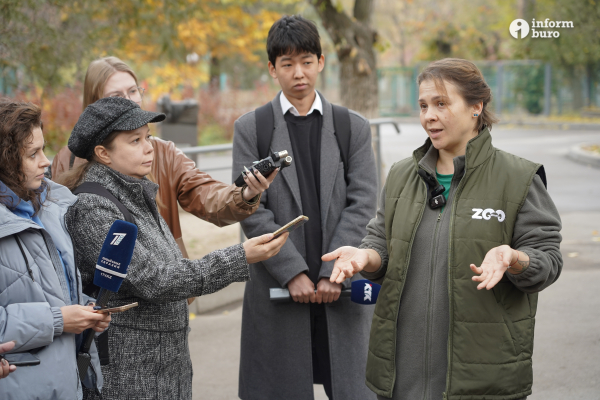 Тамандуа, туканы и бинтуронги: какие редкие животные появятся в зоопарке Алматы и какие уже появились. Фоторепортаж Informburo.kz
 
Тамандуа, туканы и бинтуронги: какие редкие животные появятся в зоопарке Алматы и какие уже появились. Фоторепортаж Informburo.kz