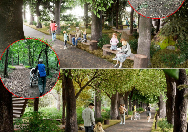 
Обновлённый дизайн рощи Баума представил акимат Алматы
