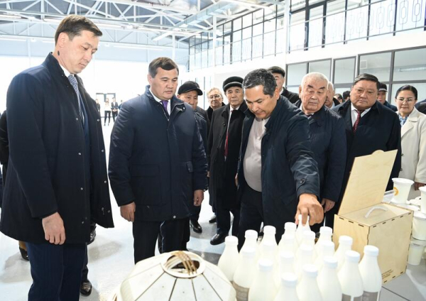 В Кызылорде открылась малая промышленная зона «Тұмар»