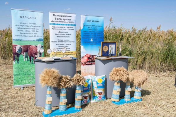 Инвестиции, наука и агротехнологии становятся драйверами роста сельского хозяйства Инвестиции, наука и агротехнологии становятся драйверами роста сельского хозяйства