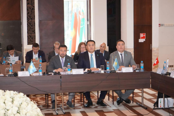 Казахстан укрепляет региональные связи в сфере гражданской защиты Казахстан укрепляет региональные связи в сфере гражданской защиты