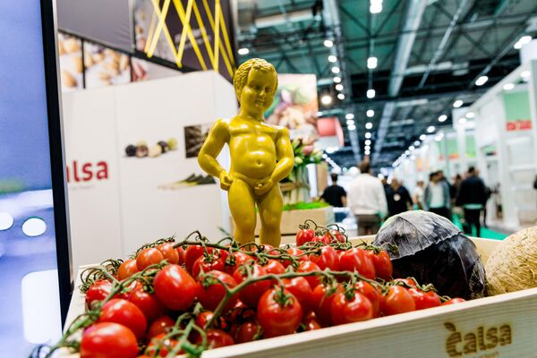 "Терминатор" на страже климата и гламурное хулиганство: самые яркие фотоновости "Терминатор" на страже климата и гламурное хулиганство: самые яркие фотоновости