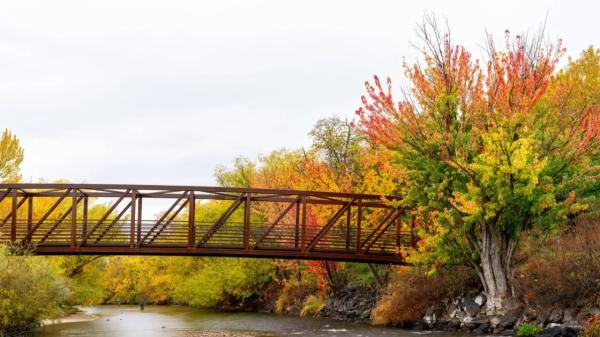 Дождливая погода ожидается в Казахстане
 
Дождливая погода ожидается в Казахстане