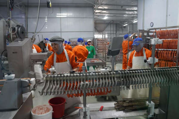 В области Абай растёт инвестиционная активность в агропромышленном комплексе