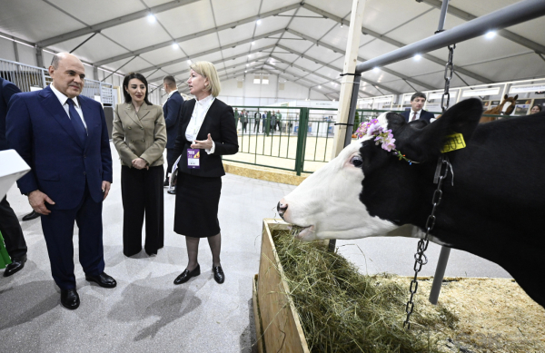 ЕАЭС: трансформация аграрного рынка в цифровую модель