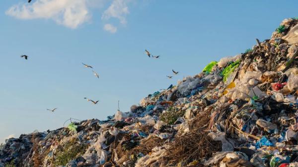 Чиновников наказали за стихийные свалки в Алматы
 
Чиновников наказали за стихийные свалки в Алматы