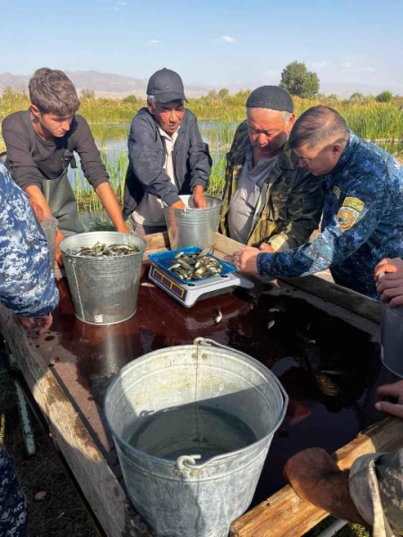 500 тысяч мальков выпустят в реку Есиль в рамках госпрограммы 500 тысяч мальков выпустят в реку Есиль в рамках госпрограммы