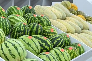 Коммунальный рынок «Syr darya» открылся в Кызылорде Коммунальный рынок «Syr darya» открылся в Кызылорде