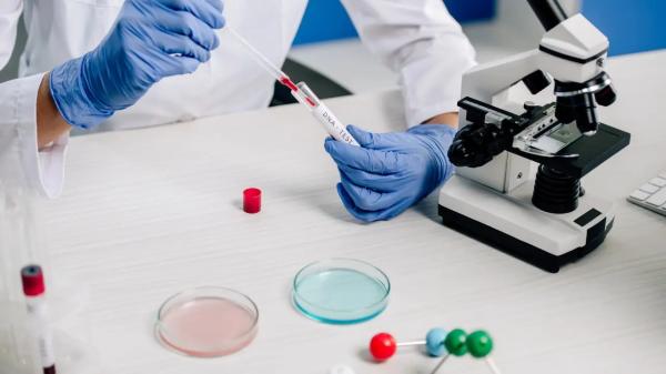 Анализ ДНК помог раскрыть убийство 23-летней давности в Акмолинской области
Анализ ДНК помог раскрыть убийство 23-летней давности в Акмолинской области