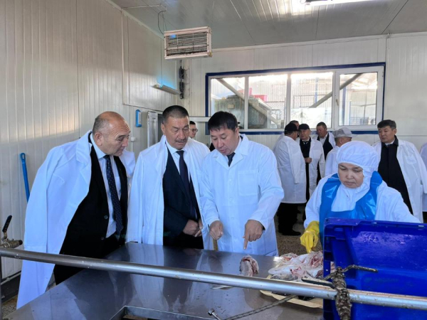 Аралский регион возвращает статус центра рыбной промышленности Казахстана Аралский регион возвращает статус центра рыбной промышленности Казахстана