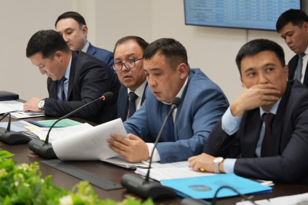 Ертис поддерживает экосистему: природоохранные меры дали ощутимый эффект Ертис поддерживает экосистему: природоохранные меры дали ощутимый эффект