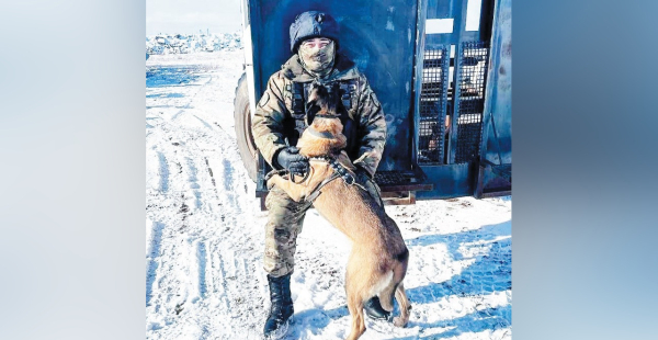 Верные напарники на службе закона Верные напарники на службе закона