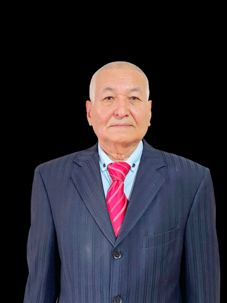 Офицер, подполковник, ветеран