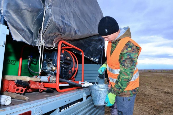 В Карагандинской области стартовала осенняя кампания по озеленению В Карагандинской области стартовала осенняя кампания по озеленению