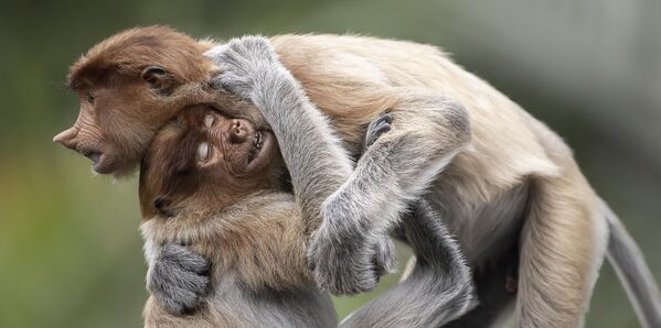 Мистическая комета и сказка о драконе: 20 лучших снимков с конкурса панорамной фотографии  Мистическая комета и сказка о драконе: 20 лучших снимков с конкурса панорамной фотографии