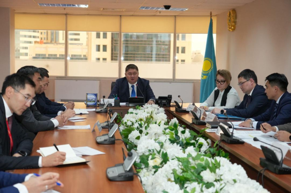 В Астане и Алматы начались проверки авиакомпаний В Астане и Алматы начались проверки авиакомпаний