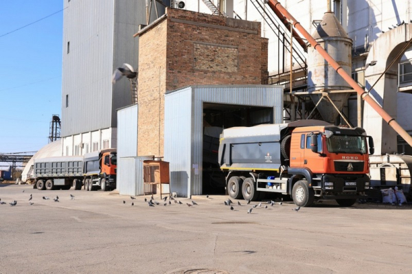 В Карагандинской области растёт производство растительного масла В Карагандинской области растёт производство растительного масла