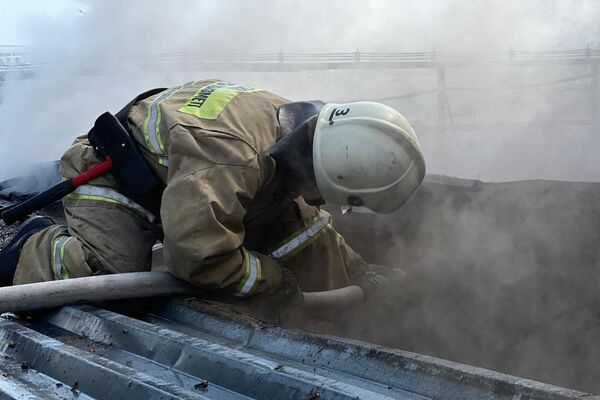 МЧС Казахстана отмечает 30-летие