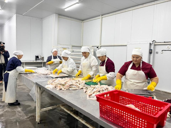 Аралский регион возвращает статус центра рыбной промышленности Казахстана Аралский регион возвращает статус центра рыбной промышленности Казахстана