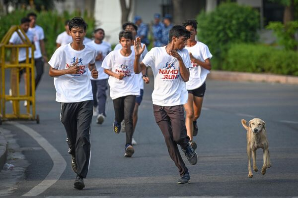 "Терминатор" на страже климата и гламурное хулиганство: самые яркие фотоновости "Терминатор" на страже климата и гламурное хулиганство: самые яркие фотоновости