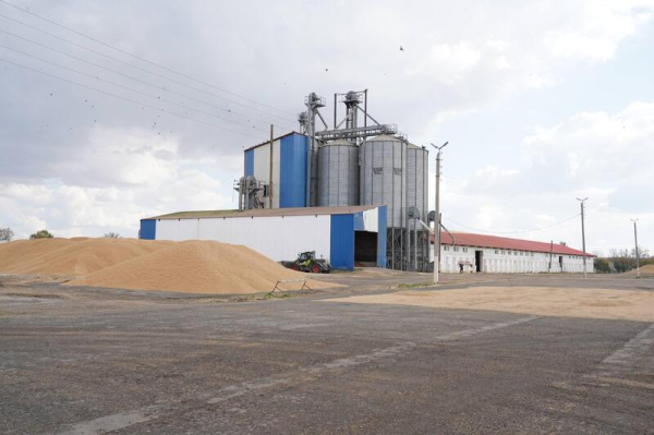 Есильский район: цифровые поля, высокая урожайность и новые возможности Есильский район: цифровые поля, высокая урожайность и новые возможности