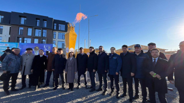 В Астане реализован проект по газификации жилого массива «Тельман» В Астане реализован проект по газификации жилого массива «Тельман»