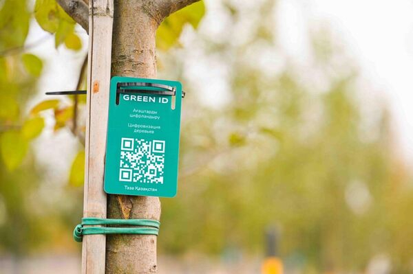 Токаев принял участие в экологической акции в Астане