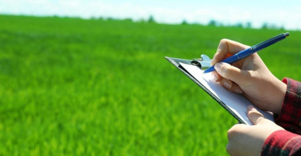 Неосвоенный участок в столице возвращён в госсобственность