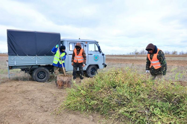 В Карагандинской области стартовала осенняя кампания по озеленению В Карагандинской области стартовала осенняя кампания по озеленению