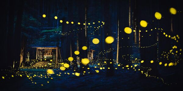 Мистическая комета и сказка о драконе: 20 лучших снимков с конкурса панорамной фотографии  Мистическая комета и сказка о драконе: 20 лучших снимков с конкурса панорамной фотографии