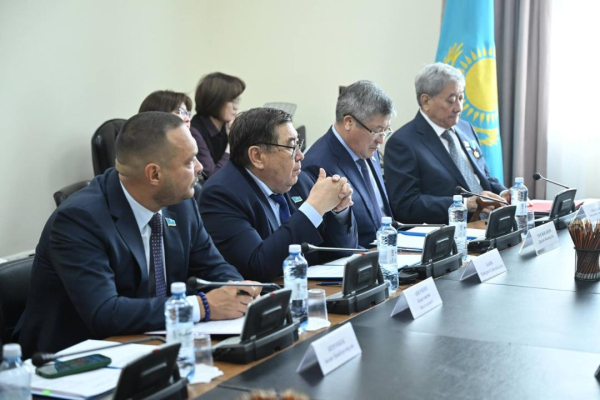 В Мажилисе Парламента обсудили вопросы социального обеспечения военнослужащих