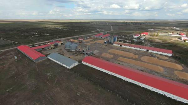 Есильский район: цифровые поля, высокая урожайность и новые возможности Есильский район: цифровые поля, высокая урожайность и новые возможности