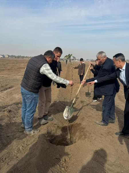 В Алматы началась реализация проекта по восстановлению сорта яблони Апорт В Алматы началась реализация проекта по восстановлению сорта яблони Апорт