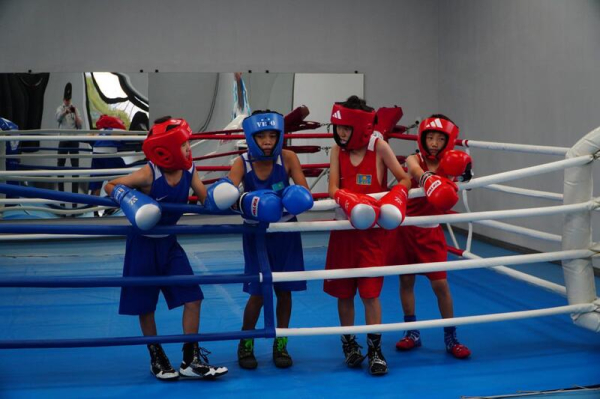 Жаксынский район демонстрирует новые возможности для молодежи и семьи