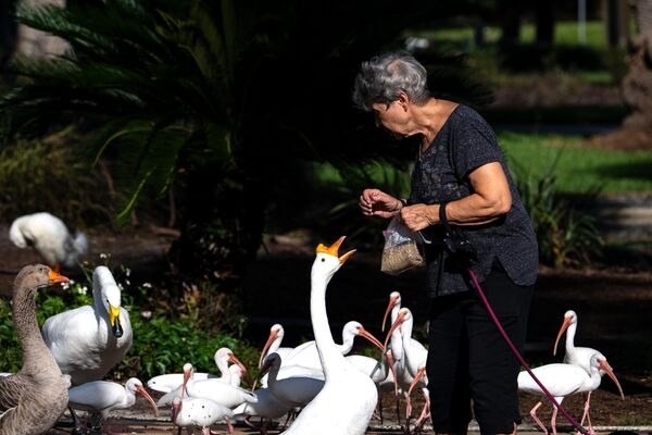 Гол с "закрытыми" глазами и удивлённый морж: забавные новости в фотографиях со всего мира