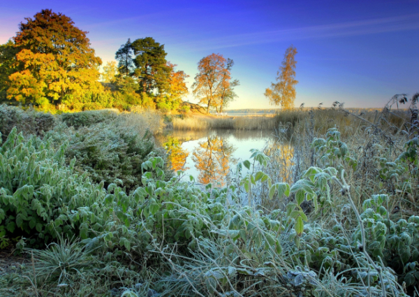 Заморозки ожидаются в области Жетісу
Заморозки ожидаются в области Жетісу