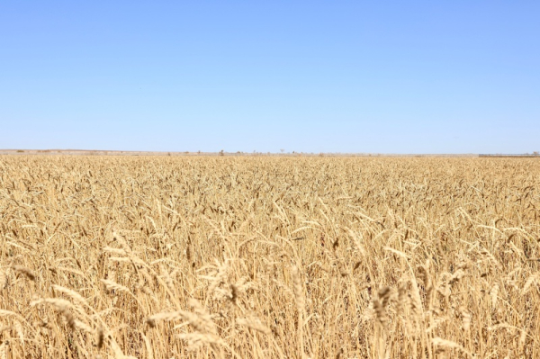 Карагандинская область вошла в число лидеров по темпам экономического роста