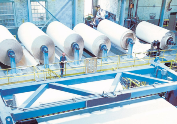 Казахстанские производители бумаги получат особые условия при госзакупках
Казахстанские производители бумаги получат особые условия при госзакупках