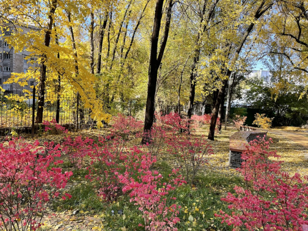Казахстан - страна, где дети чувствуют себя в безопасности Казахстан - страна, где дети чувствуют себя в безопасности