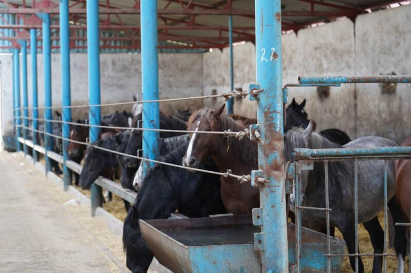 Есильский район: цифровые поля, высокая урожайность и новые возможности Есильский район: цифровые поля, высокая урожайность и новые возможности