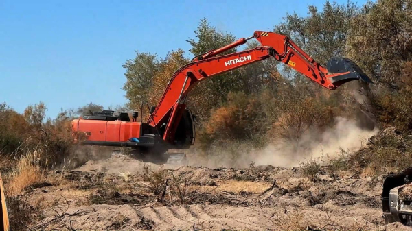 В Жамбылской области очищают водный канал протяжённостью 120 км