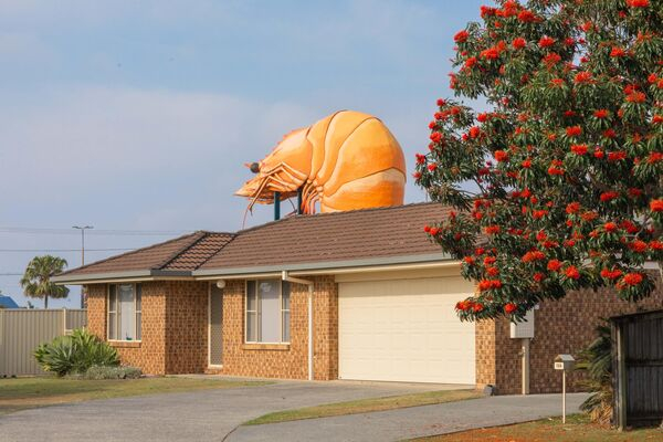 Гол с "закрытыми" глазами и удивлённый морж: забавные новости в фотографиях со всего мира